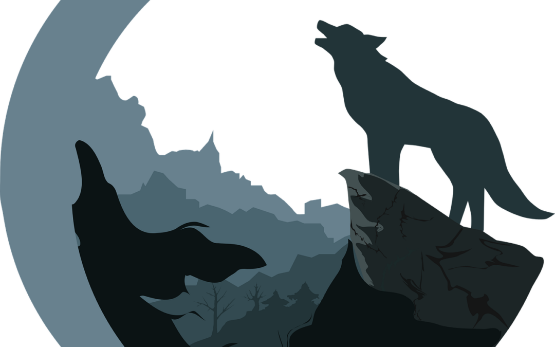 Rituals That Can Be Performed During the Wolf Moon